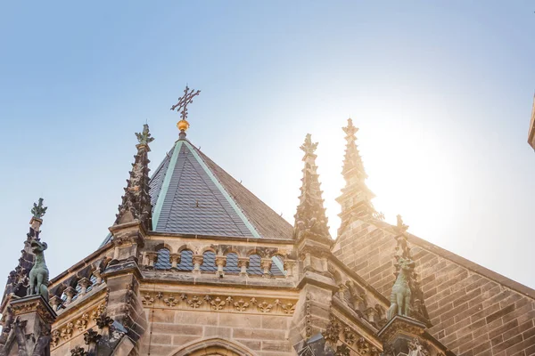 Den Peterskirche Eller Peterskyrkan Leipzig Nära Centrum — Stockfoto