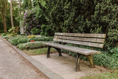 boş eski ahşap Bank mezarlığı