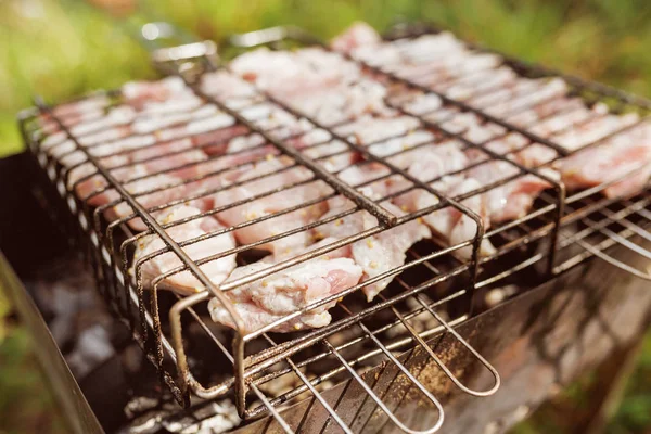 Carne Assortita Pollo Maiale Alla Griglia Cucinata Durante Giornata Estiva — Foto Stock