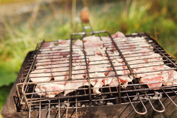 Carne Surtida Pollo Cerdo Parrilla Barbacoa Cocinada Verano Aire Libre — Foto de Stock