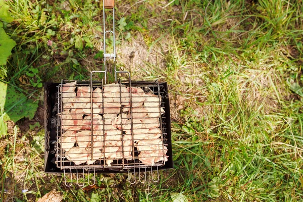 Carne Assortita Pollo Maiale Alla Griglia Cucinata Durante Giornata Estiva — Foto Stock