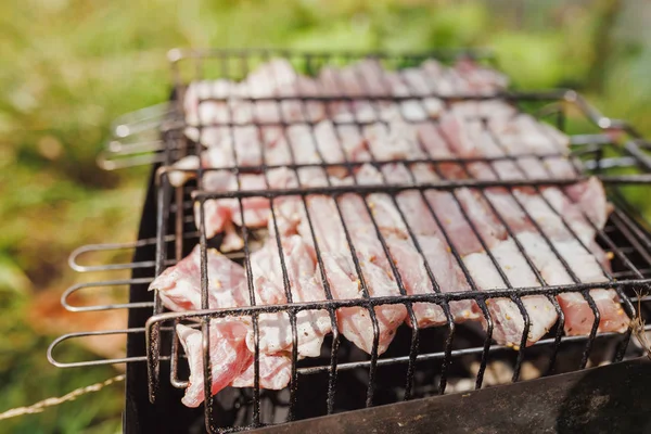 Viande Assortie Poulet Porc Sur Barbecue Grillé Jour Été Plein — Photo