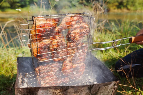 Ανάμικτες Κρέας Από Κοτόπουλο Και Χοιρινό Μπάρμπεκιου Γκριλ Μαγειρεμένο Θερινή — Φωτογραφία Αρχείου