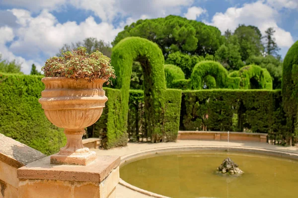 Zelený labyrint v zahradě — Stock fotografie