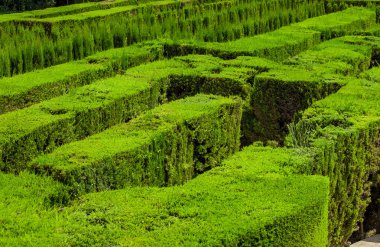 Park ve bahçe ile labirent maze Barcelona İspanya, yaz