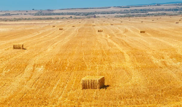 Stro Verpakt Landbouwgebied — Stockfoto