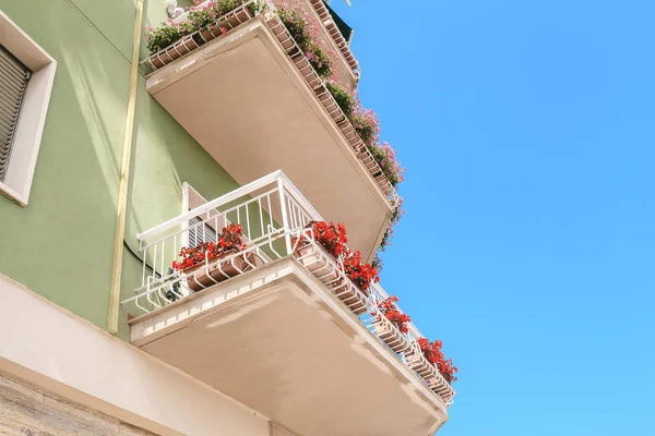 Fiori Piante Casa Sulla Facciata Del Balcone — Foto Stock