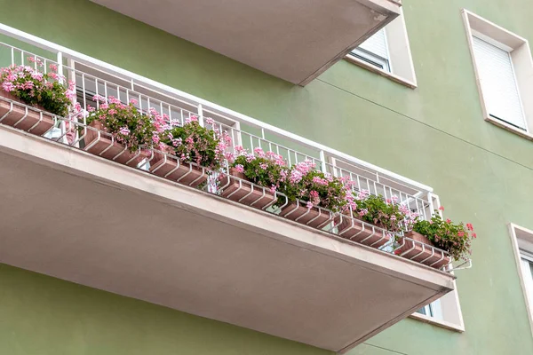 Flowers and house plants on the balcony facade
