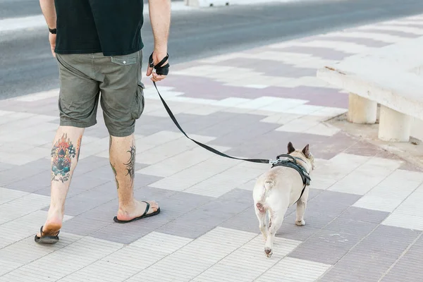 Juli 2018 Tarragona Spanje Man Lopen Met Zijn Hond Dwergspanner — Stockfoto