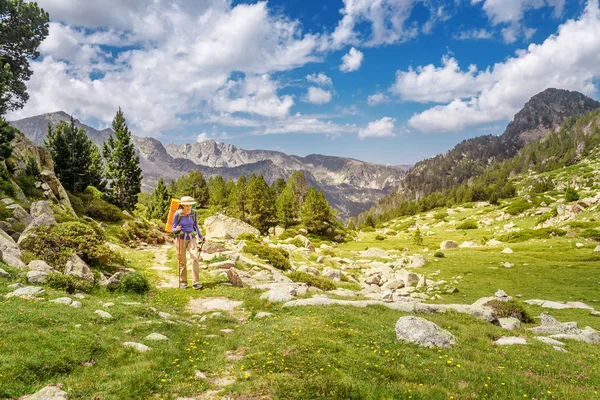 Mujer Joven Caminando Las Montañas Con Una Mochila Bastones Trekking —  Fotos de Stock