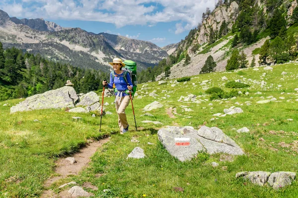 Fiatal Egy Hátizsák Hegyi Túrázás Trekking Lengyelek Hegyi Ösvény Útvonal — Stock Fotó