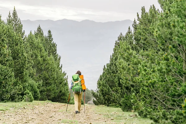 Bir Adam Bir Sırt Çantası Ile Ormanda Yürüyor — Stok fotoğraf
