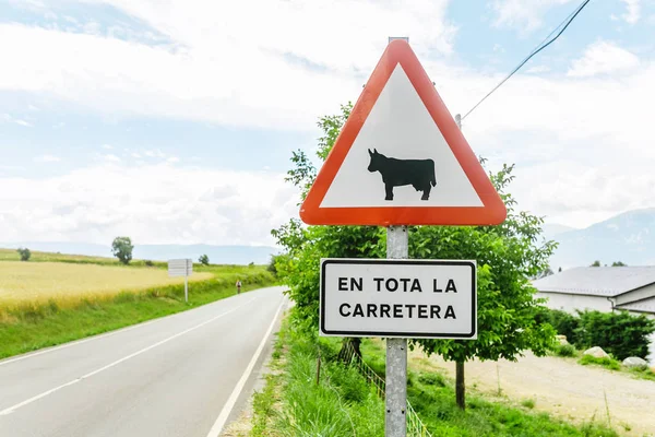 Beware of the cow road sign in countryside. CAPTION: all along the road