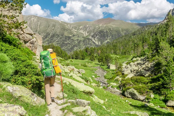 幸せな女ハイカーは アンドラ スペインのピレネー山脈の旅します ノルディックウォー キング レクリエーションや Gr11 パス歩道に沿ってトレッキング — ストック写真