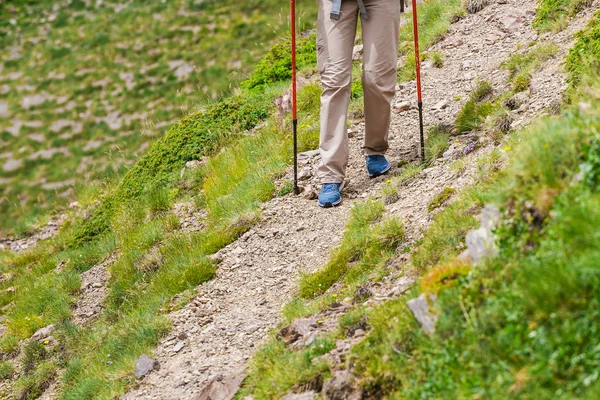 Jambes Bâtons Marche Nordique Sentier Montagne — Photo