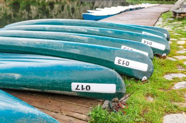 Kayak veya kano nehir ya da göl üzerinde Kiralık