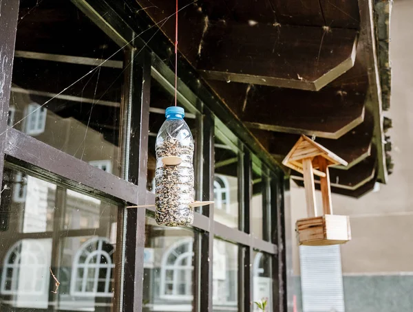 食物と一緒に鳥の送り装置 — ストック写真