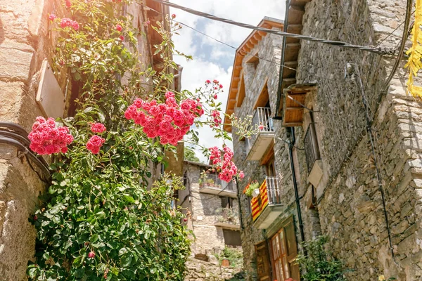 Red Roses Front Old Wall Medieval Village Spain — Stock Photo, Image