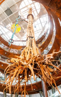 28 JULY 2018, BARCELONA, SPAIN: Visitors looking at the giant fossiled tree from amazon jungle at Cosmocaixa Museum, famous landmark in Barcelona clipart