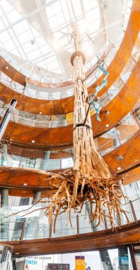 28 Temmuz 2018, Barselona, İspanya: amazon ormanları Cosmocaixa Müzesi, Barcelona'nın ünlü landmark dev fossiled ağaca bakıyorum ziyaretçi