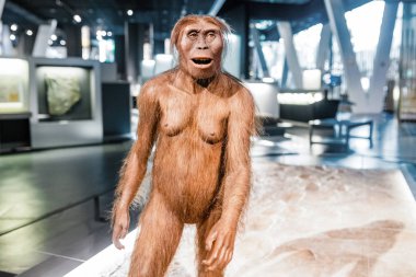 28 Temmuz 2018, Cosmocaixa, Barselona, İspanya: Australopithecus tarih öncesi kadın Müzesi sergi