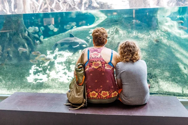 July 2018 Barcelona Spain Happy Family Looking Fish Aquarium Cosmocaixa — Stock Photo, Image