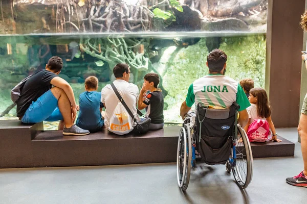 July 2018 Barcelona Spain Disabled Person Happy Family Looking Fish — Stock Photo, Image