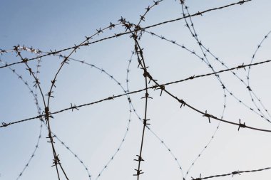 özel özellik ve cezaevi kavramı. Dikenli tel mavi gökyüzü karşı