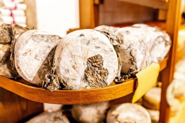 Yaşlı geleneksel Toskana pecorino peynirler kümesi. İtalyan mutfağı kavramı
