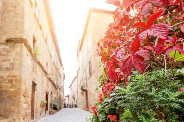 Pienza şehrin dünya Unesco mirası doğal görünümü
