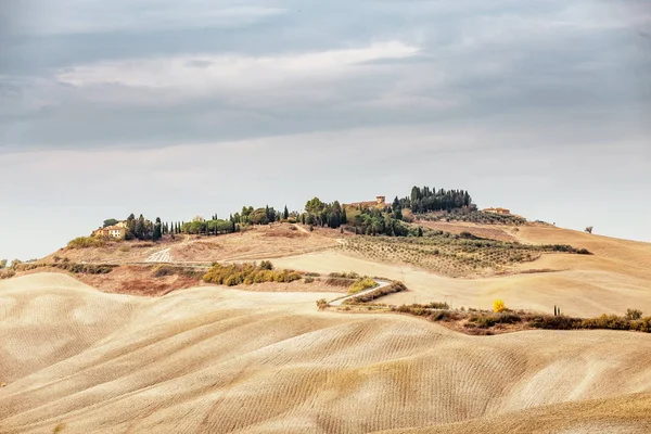 Paisaje Otoño Oro Toscana Italia —  Fotos de Stock