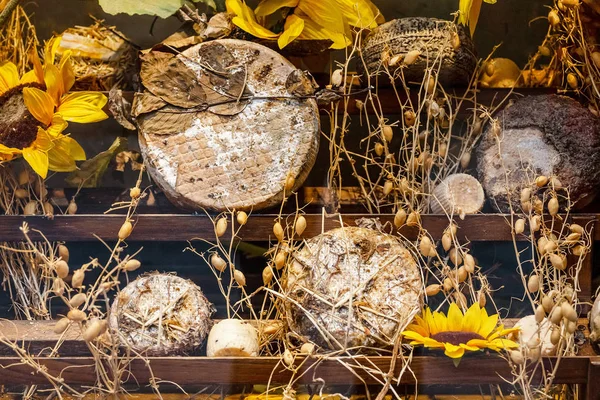 Uppsättning Äldre Traditionell Toskansk Pecorino Ostar Italiensk Mat Koncept — Stockfoto