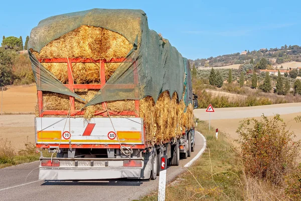 Zware Vrachtwagen Met Lading Hooi Een Landelijke Weg Van Toscane — Stockfoto