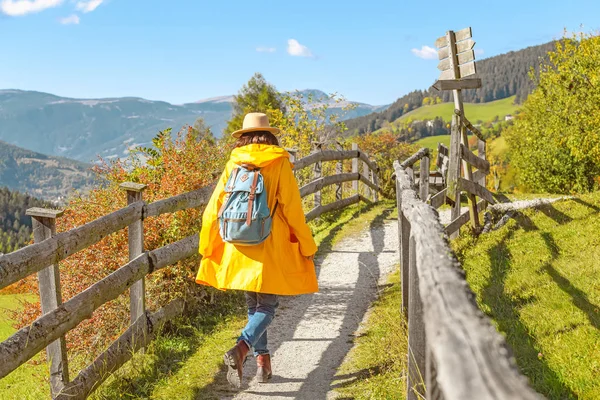 Rumunsko Žlutém Plášti Pěší Turistice Přírodním Parku Horách Podzimní Době — Stock fotografie