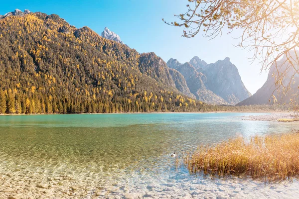Lago Dobbiaco Nos Alpes Dolomitas Famoso Destino Turístico Recreativo Itália — Fotografia de Stock