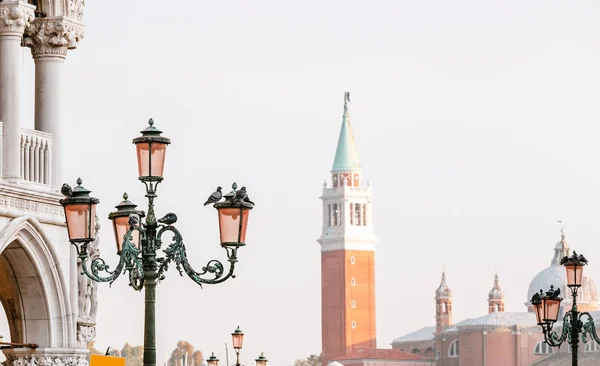 Pigeons sitting on a Lanterns in Venice