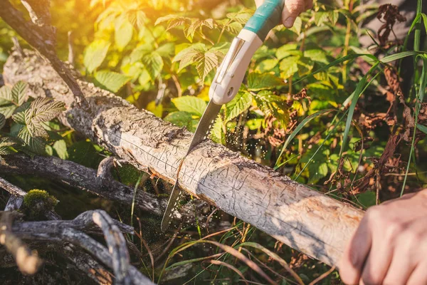 Adam uzun yürüyüşe çıkan kimse ve ahşap Frezeleme, ekipman kavramı kamp Gezgin