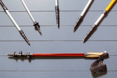 Düz yatıyordu yukarıdan birçok yürüyüş ve Kayak Polonyalılar kümesi ahşap arka plan üzerinde