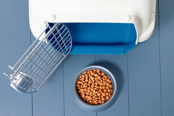 Transportador de plástico e tigela de comida para cães e gatos. Dieta e adequada — Fotografia de Stock