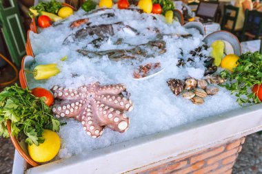 Balıkçılar pazar ve restoran vitrin taze balık, çiğ ahtapot ve diğer deniz ürünleri çeşitleri