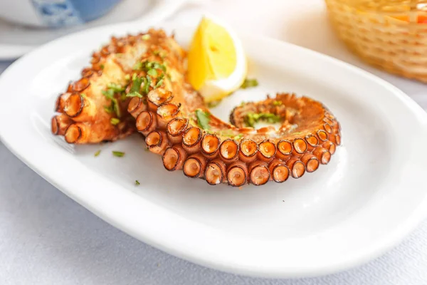 Delizioso polpo alla griglia servito su un piatto bianco. Cucina di mare e dieta sana concetto — Foto Stock