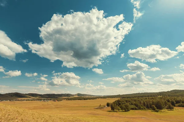 Idylliskt minimalistiskt avkopplande landskap med gräs besk backe och färgglad himmel — Stockfoto