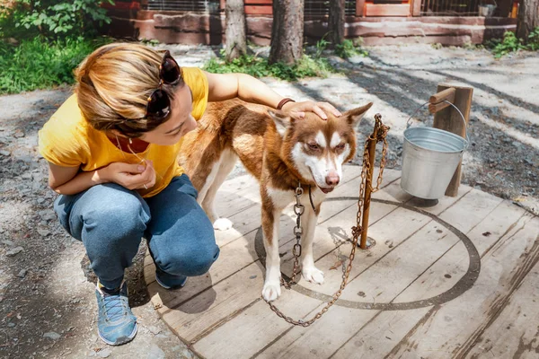 Mujer joven con husky siberiano en una perrera. Voluntario se encarga de perros husky — Foto de Stock