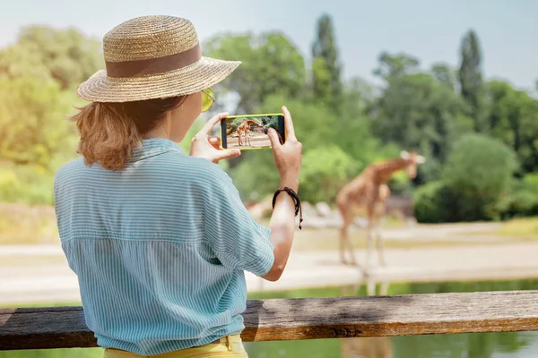 Boldog ázsiai zoológia diák lány figyelembe fotó okostelefon, míg a zsiráf iszik tó — Stock Fotó