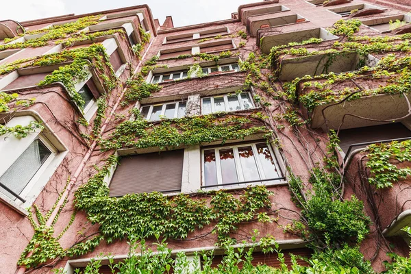 Budynek mieszkalny pokryty zielonym bluszczem, Paryż — Zdjęcie stockowe