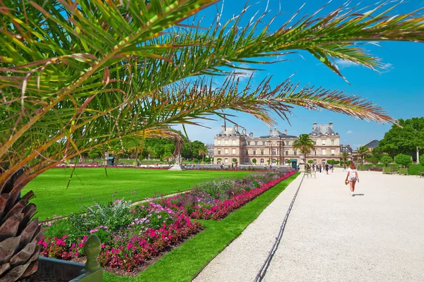 26 July 2019, Paris, France: Luxembourg Palace and decorative palms — Stock Photo, Image