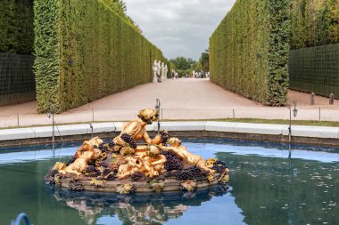 30 Temmuz 2019, Versailles, Fransa: Versailles kraliyet bahçesinde Satürn veya Neptün Çeşmesi