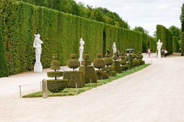 30 Temmuz 2019, Fransa, Versailles: Versailles Kraliyet bahçesinde çeşitli güzel şekiller süs ağaçları