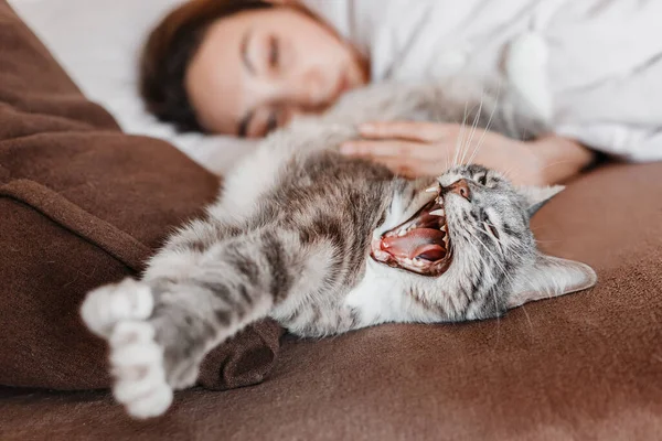 オーナー女の子寝るでA居心地の良いベッド隣に彼女のお気に入りのYawningペット猫 — ストック写真