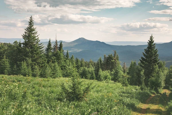 Parque Nacional Salvaje Centro Rusia Los Urales Vista Interminables Bosques — Foto de Stock